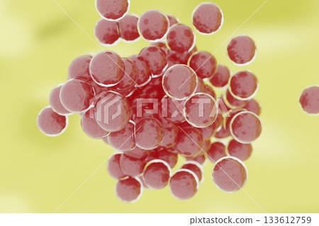 球菌繁殖影像 133612759
