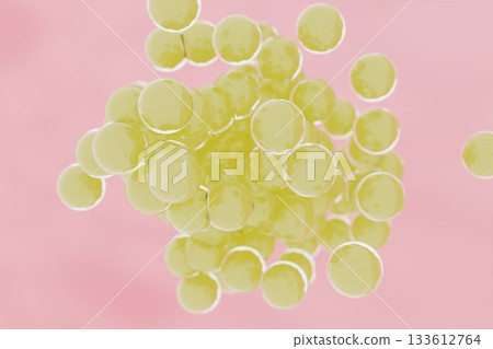 球菌繁殖影像 球菌繁殖影像 133612764