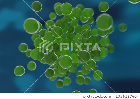 Image of multiplying cocci Image of multiplying cocci 133612766