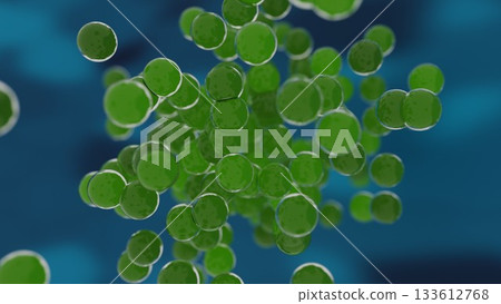 球菌繁殖影像 133612768