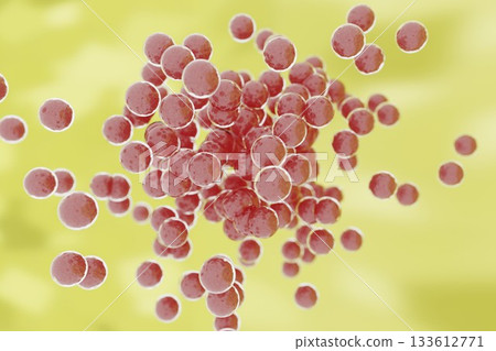 Image of multiplying cocci Image of multiplying cocci 133612771