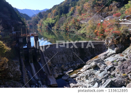 高矢部取水堰：平靜的秋天（高知縣伊野町） 133612895