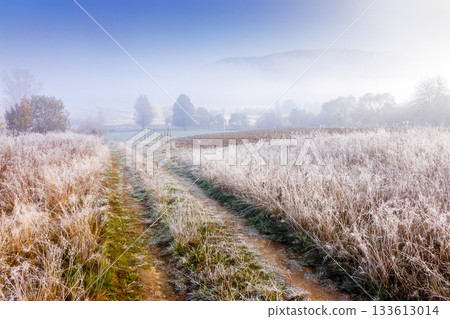autumn landscape with dirt road through rural field in hoarfrost and morning fog. beautiful view of a countryside in carpathian mountains of ukraine. frosty weather. abandoned area needs investment autumn landscape with dirt road through rural field in hoarfrost and morning fog. beautiful view of a countryside in carpathian mountains of ukraine. frosty weather. abandoned area needs investment 133613014