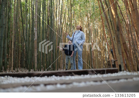 Mother and child observing towering bamboo forest Mother and child observing towering bamboo forest 133613205