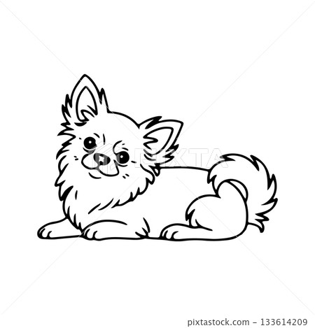 Cute chihuahua relaxing on a sunny afternoon in a cozy living room environment 133614209