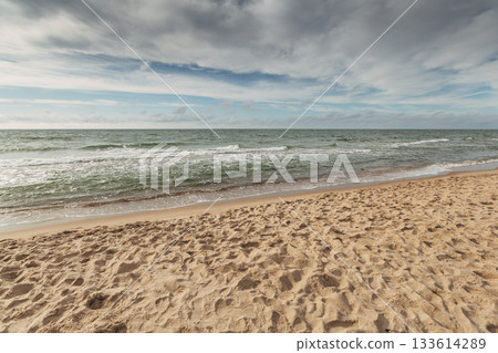 Zelenogradsk, Curonian Spit National Park. Sand dunes on the shore of the Baltic Sea 133614289