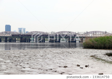 Hankyu Railway as seen from Yodogawa River Park (Yodogawa Ward, Osaka City, Osaka Prefecture) 133614750