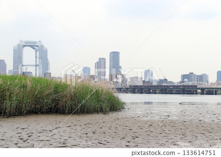 Hankyu Railway as seen from Yodogawa River Park (Yodogawa Ward, Osaka City, Osaka Prefecture) Hankyu Railway as seen from Yodogawa River Park (Yodogawa Ward, Osaka City, Osaka Prefecture) 133614751