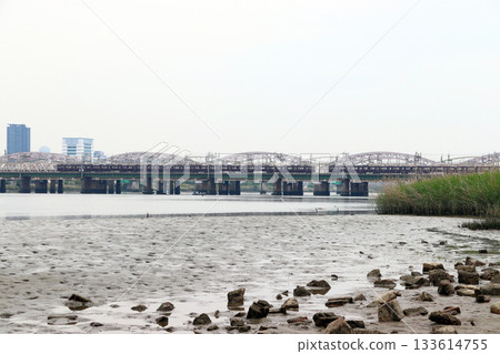 Hankyu Railway as seen from Yodogawa River Park (Yodogawa Ward, Osaka City, Osaka Prefecture) 133614755