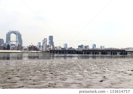 Hankyu Railway as seen from Yodogawa River Park (Yodogawa Ward, Osaka City, Osaka Prefecture) 133614757