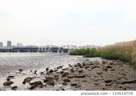 從淀川公園看到的阪急電鐵（大阪府大阪市淀川區） 133614759