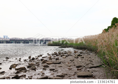 Hankyu Railway as seen from Yodogawa River Park (Yodogawa Ward, Osaka City, Osaka Prefecture) Hankyu Railway as seen from Yodogawa River Park (Yodogawa Ward, Osaka City, Osaka Prefecture) 133614761