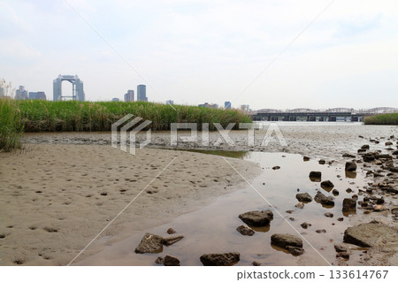 從淀川公園看到的阪急電鐵（大阪府大阪市淀川區） 133614767