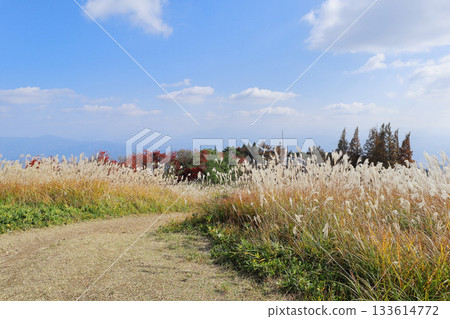 Scenery of Mount Katsuragi in Yamato and Katsuragi Plateau 133614772