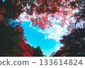 心形的天空和秋葉 133614824