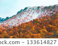 白雪皚皚的山峰與火紅的秋葉交相輝映。 133614827