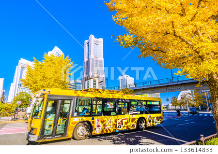 Autumn colors in the cityscape of Yokohama, Japan... View of Sakuragicho Station, Yokohama Landmark Tower, Nogeyama Zoo bus, etc. = November 26th 133614833