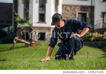 Checking the grass, sitting. Professional gardener is on the lawn Checking the grass, sitting. Professional gardener is on the lawn 133615140