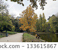 Many people can be seen walking their dogs in the Parc des Buttes Chaumont in the 19th arrondissement of Paris (people are seen from behind) 133615867