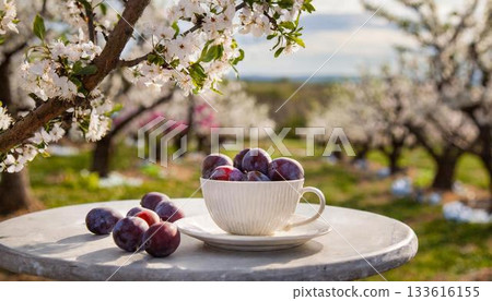plum fruit and coffee on a table in a garden 133616155