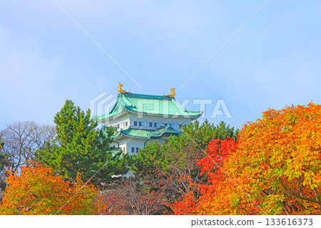 Autumn scenery of Nagoya Castle, Nagoya City, Aichi Prefecture Autumn scenery of Nagoya Castle, Nagoya City, Aichi Prefecture 133616373