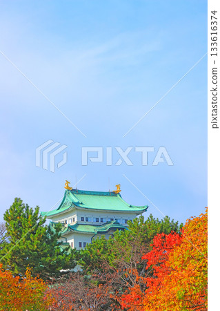 愛知縣名古屋市名古屋城的秋景 133616374