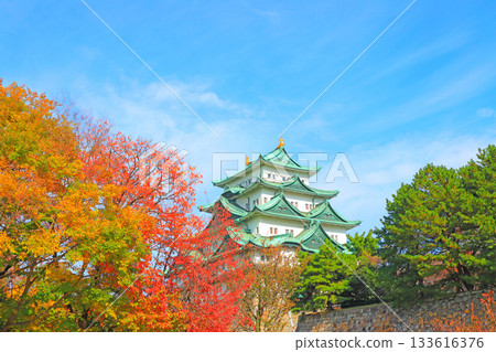 愛知縣名古屋市名古屋城的秋景 133616376
