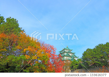 愛知縣名古屋市名古屋城的秋景 133616377