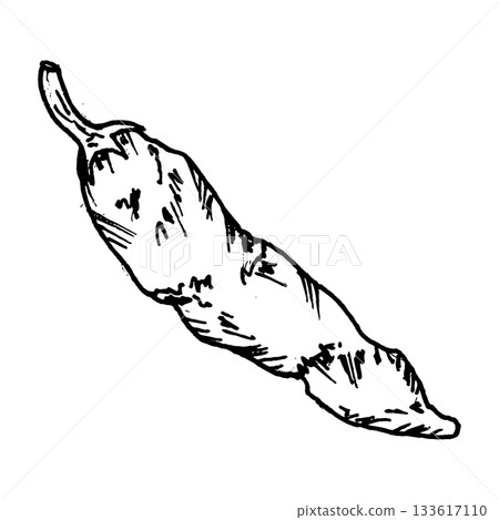 Black and white vector illustration of a hot pepper pod with curved form and textured surface. Clean line work suitable for ingredient sets, vegetable themes, spicy cuisine accents, menu graphics Black and white vector illustration of a hot pepper pod with curved form and textured surface. Clean line work suitable for ingredient sets, vegetable themes, spicy cuisine accents, menu graphics 133617110