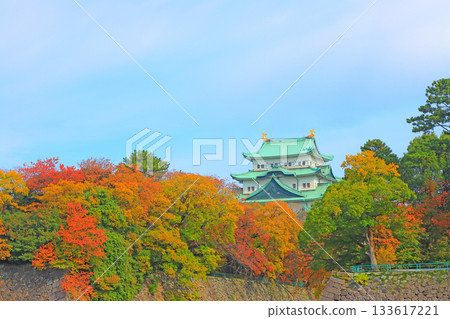 Autumn scenery of Nagoya Castle, Nagoya City, Aichi Prefecture Autumn scenery of Nagoya Castle, Nagoya City, Aichi Prefecture 133617221