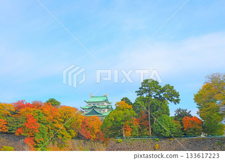 愛知縣名古屋市名古屋城的秋景 133617223