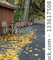 Vintage bicycles lined up near a wooden shed, surrounded by autumn leaves in a park. 133617508