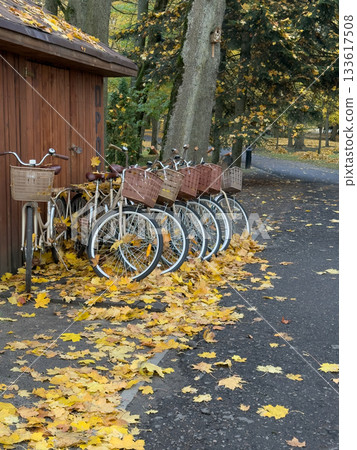 Vintage bicycles lined up near a wooden shed, surrounded by autumn leaves in a park. 133617508