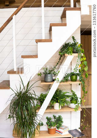 Bright wooden staircase decorated with indoor plants in modern Scandinavian interior 133617760