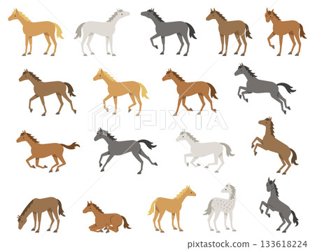 Illustration set of horses of various coat colors Illustration set of horses of various coat colors 133618224
