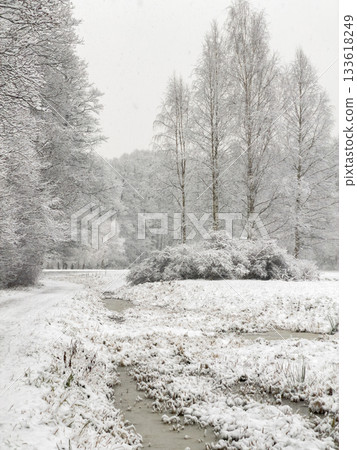 it is snowing heavily in the park, large flakes of snow are slowly falling on tree branches, no people, nobody it is snowing heavily in the park, large flakes of snow are slowly falling on tree branches, no people, nobody 133618249