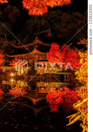 Illuminated maple leaves at Eihoji Temple in Gifu Prefecture Illuminated maple leaves at Eihoji Temple in Gifu Prefecture 133618305