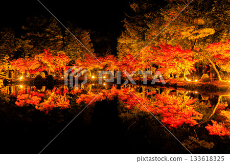 Illuminated maple leaves at Eihoji Temple in Gifu Prefecture Illuminated maple leaves at Eihoji Temple in Gifu Prefecture 133618325