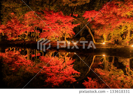 岐阜縣永寶寺的燈光楓葉 133618331