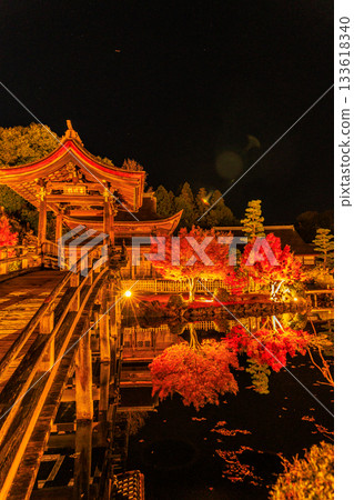 Illuminated maple leaves at Eihoji Temple in Gifu Prefecture Illuminated maple leaves at Eihoji Temple in Gifu Prefecture 133618340