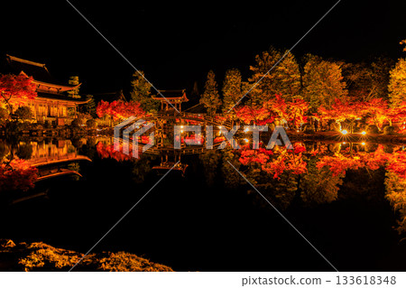 Illuminated maple leaves at Eihoji Temple in Gifu Prefecture Illuminated maple leaves at Eihoji Temple in Gifu Prefecture 133618348