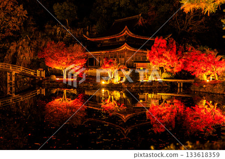 Illuminated maple leaves at Eihoji Temple in Gifu Prefecture Illuminated maple leaves at Eihoji Temple in Gifu Prefecture 133618359