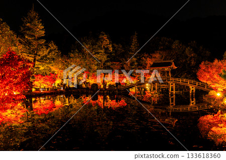 岐阜縣永寶寺的燈光楓葉 133618360