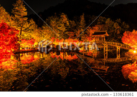 岐阜縣永寶寺的燈光楓葉 133618361