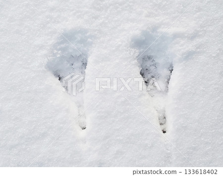 水禽的足跡 133618402