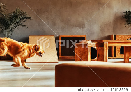 A golden retriever joyfully runs up a ramp in a dog-friendly gym designed for fitness and rehabilitation, surrounded by various platforms and tunnels for exercise 133618899