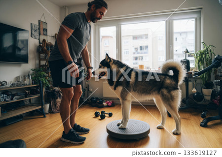 A man supports his husky as it balances on a disc in a tidy home gym. This activity enhances mobility and fosters a strong bond between pet and owner 133619127