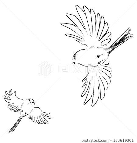 Two Birds Flying Cartoon Illustration 133619301