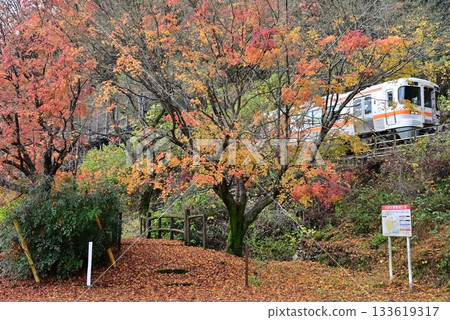 中山道、岩屋觀音堂入口和高山本線的秋葉美景 133619317