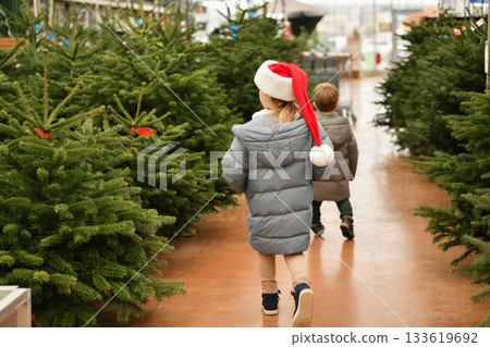 Children in a red caps choose a Christmas tree in a shop 133619692